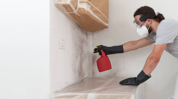 Professional Mold Inspection And Testing technician working in Somerset, TX